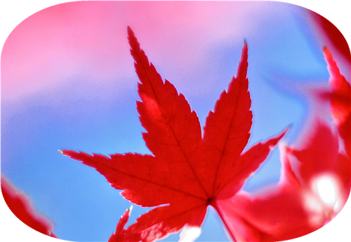 有了她，冬天的愛變得格外溫暖！